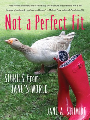 cover image of Not a Perfect Fit